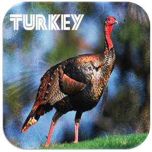 Descargar app Turquía Sonidos