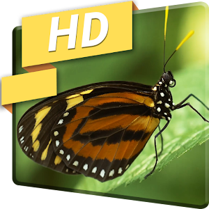 Descargar app Macro Naturaleza Mariposa Lwp