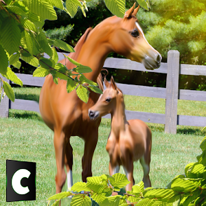 Descargar app Ultimate Arabian Horse Sim disponible para descarga