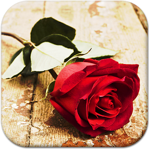 Descargar app Rosa Roja Fondos Animados disponible para descarga
