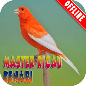 Descargar app Maestro Karii Kenari Mp3