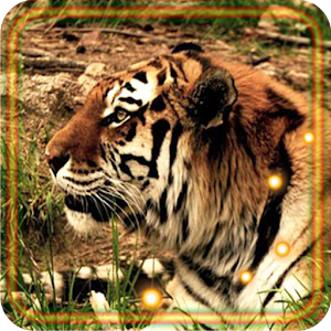 Descargar app Tigres Depredadores Lwp