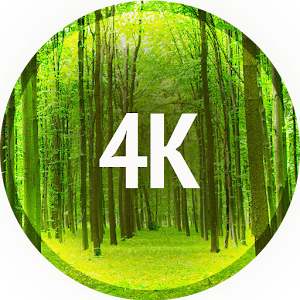 Descargar app Fotos Con árboles