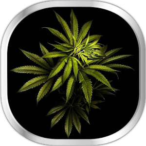 Descargar app Marihuana Fondos Animados