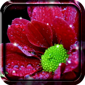 Descargar app Brillante Flores Fondo Animado disponible para descarga