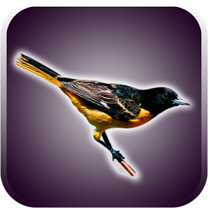 Descargar app Sonidos De Pájaros