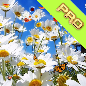 Descargar app Flor Pro Live Wallpaper disponible para descarga