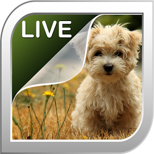 Descargar app Cachorros Fondo Animado disponible para descarga