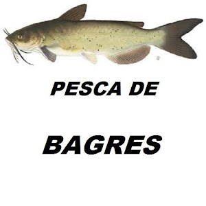 Descargar app Pesca De Bagres