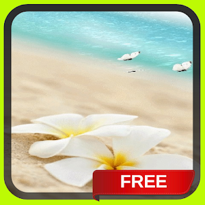 Descargar app Playa Mar Mariposas