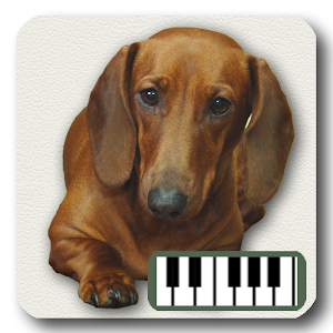 Descargar app Piano De Perros