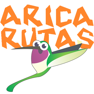 Descargar app Arica Rutas