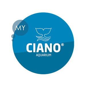 Descargar app My Ciano disponible para descarga